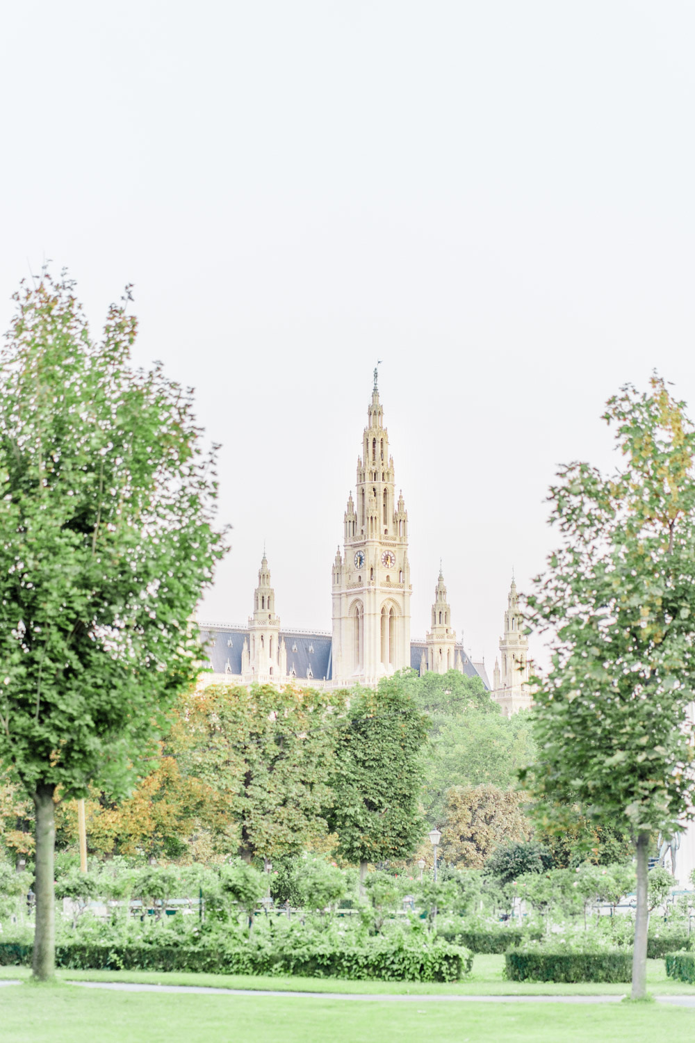 Hochzeitsfotograf Wien: Blick aus dem grünen Volksgarten auf das Rathaus